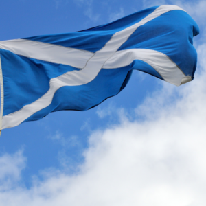 Printed Scotland flag