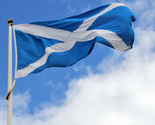Printed Scotland flag