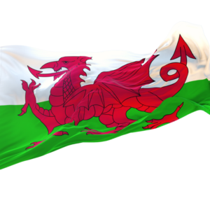 Wales printed flag