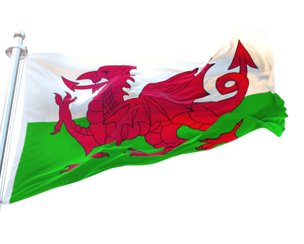 Wales printed flag