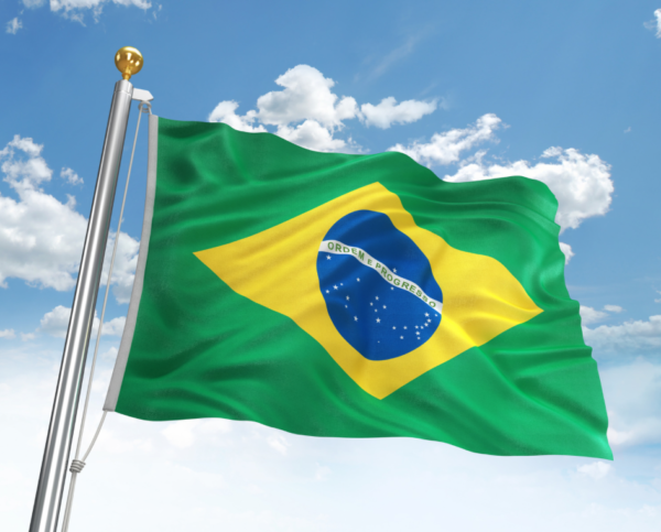 Printed brazil flag