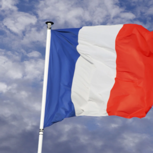 French flag printing